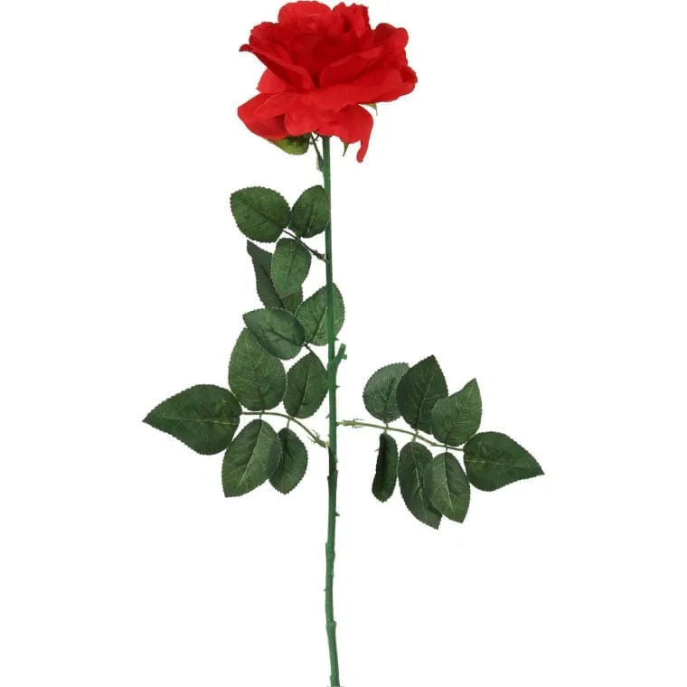Róża Pojedyncza Rozwinięta W Kolorze Czerwonym 68 cm