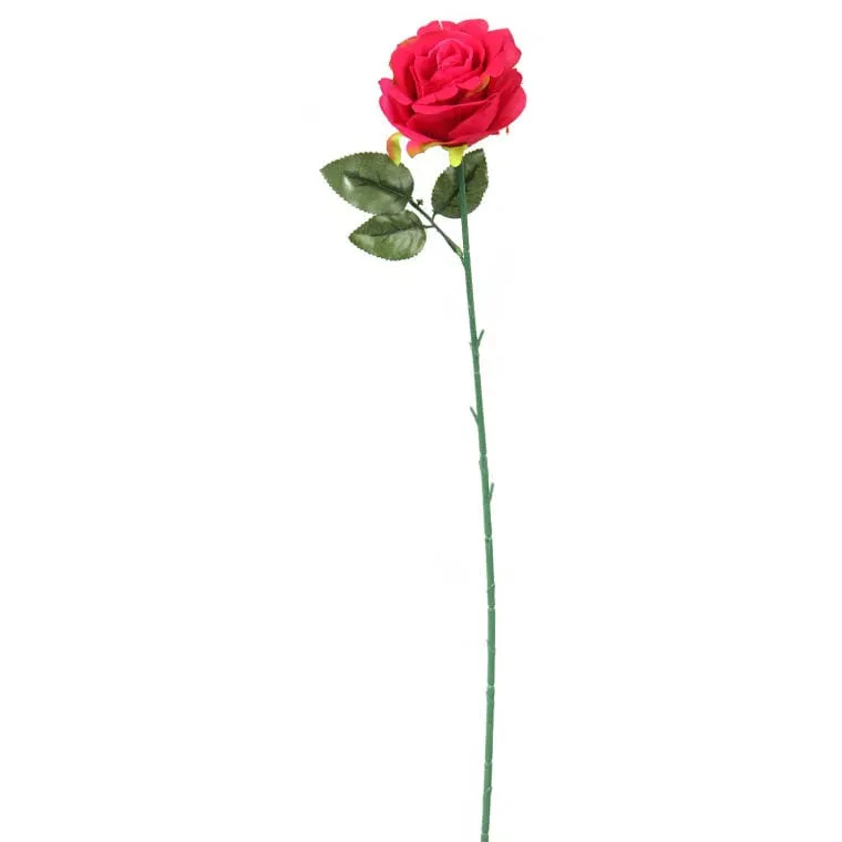 Róża Pojedynka W Kolorze Czerwonym 68 cm