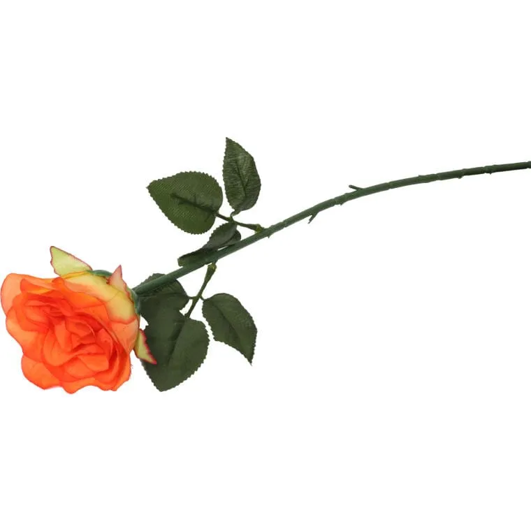 Róża Pojedynka W Kolorze Pomarańczowym 68 cm