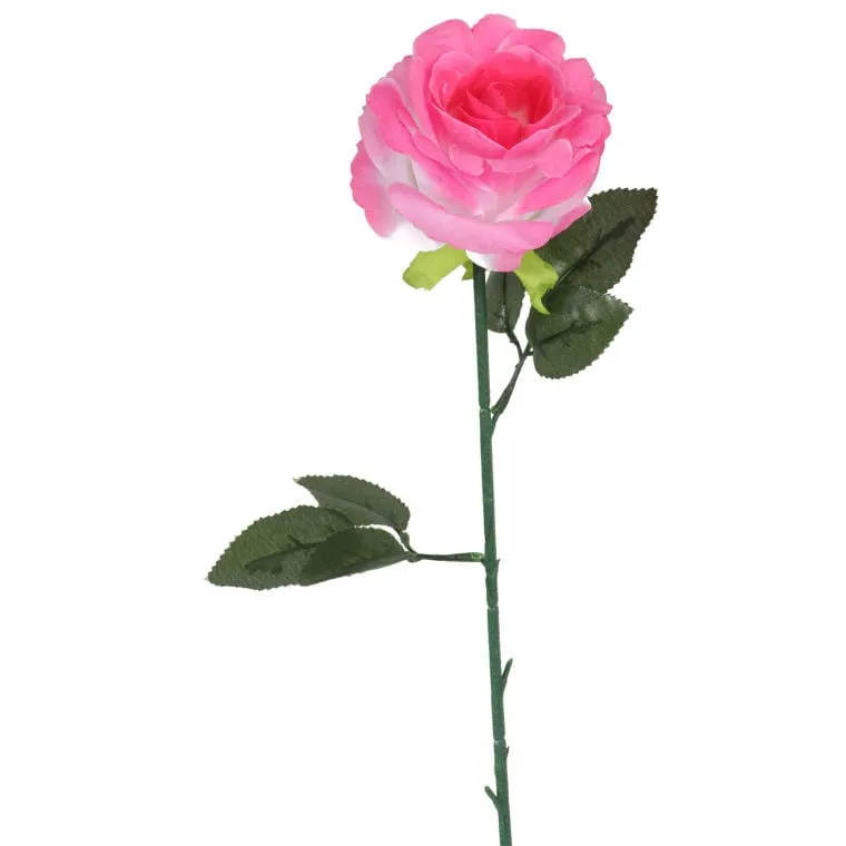 Róża Pojedynka 68 cm W Kolorze Różowym