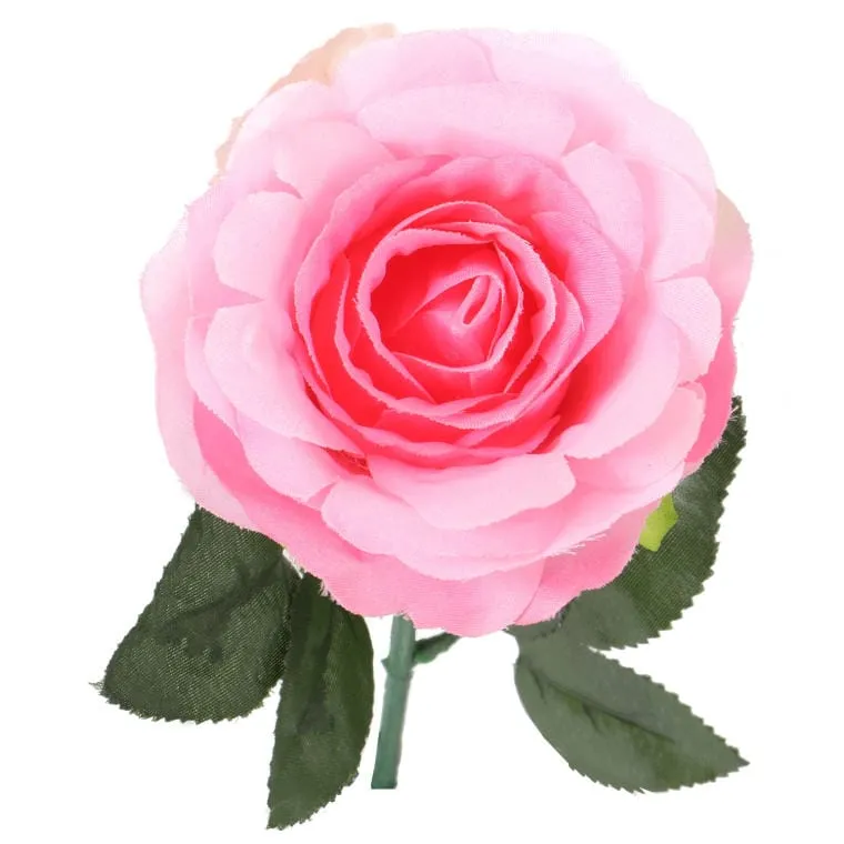 Róża Pojedynka 68 cm W Różowym Kolorze