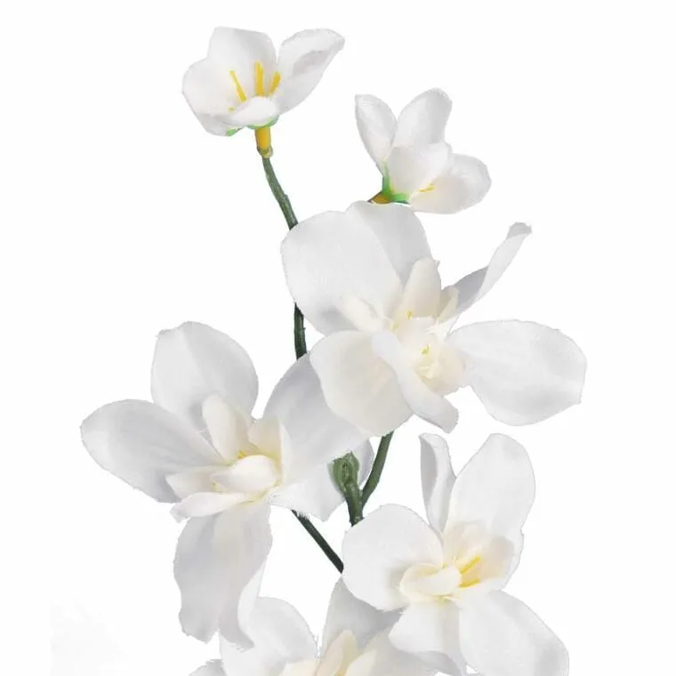 Storczyk Gałązka Kolor 66 cm - Biały