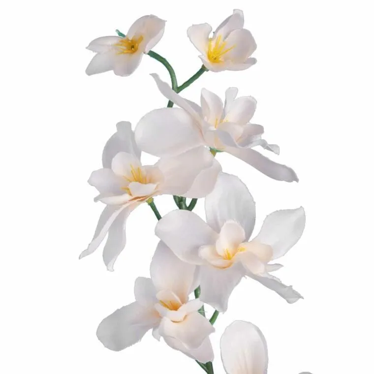 Storczyk Gałązka Kolor 66 cm - Kremowy
