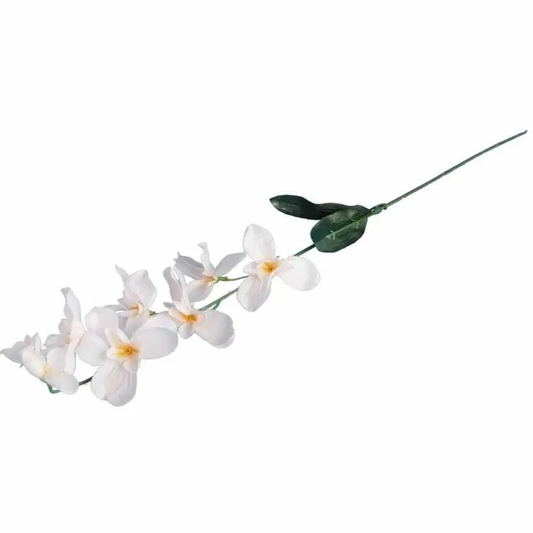 Storczyk Gałązka Kolor 66 cm - Kremowy