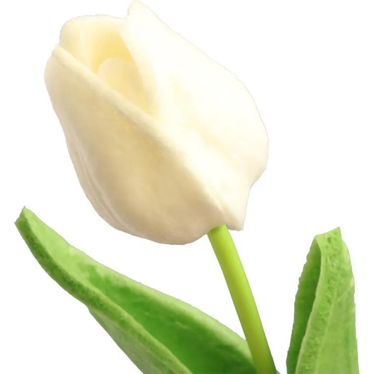 Tulipan Gumowany Pojedynka Kolor - Biały
