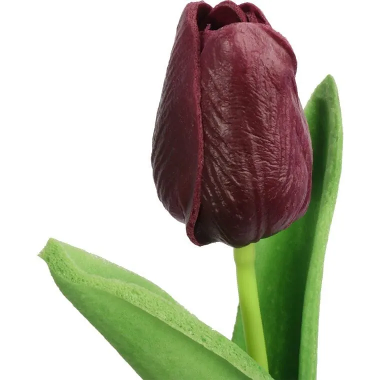Tulipan Gumowany Pojedynka Kolor - Fioletowy