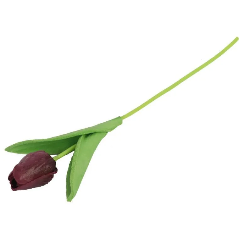 Tulipan Gumowany Pojedynka Kolor - Fioletowy