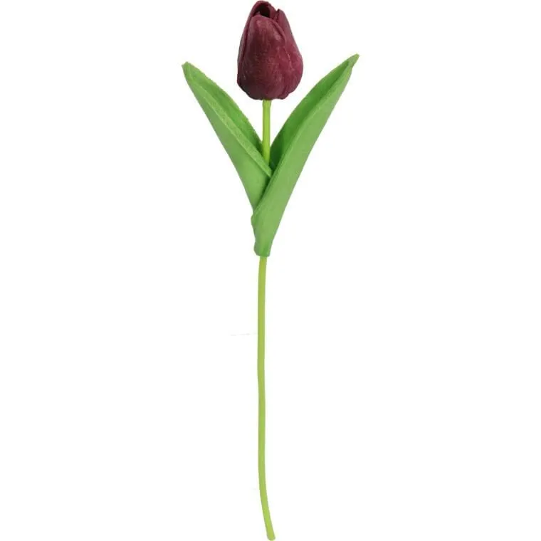 Tulipan Gumowany Pojedynka Kolor - Fioletowy