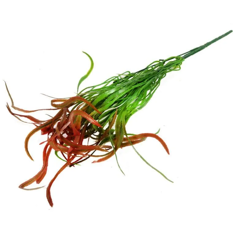 Bukiet Wodorostów 46 cm - Brązowy