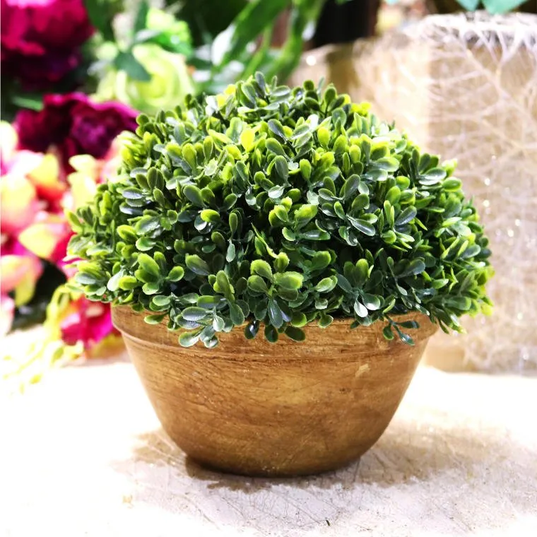Sztuczny Bukszpan W Ceramicznej Doniczce 20cm - Zielony