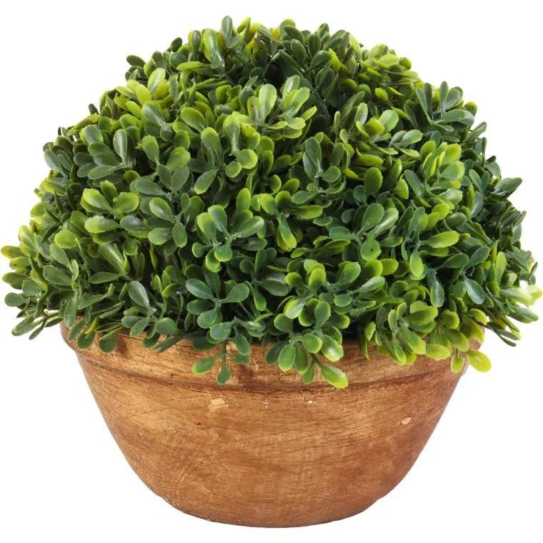 Sztuczny Bukszpan W Ceramicznej Doniczce 20cm - Zielony