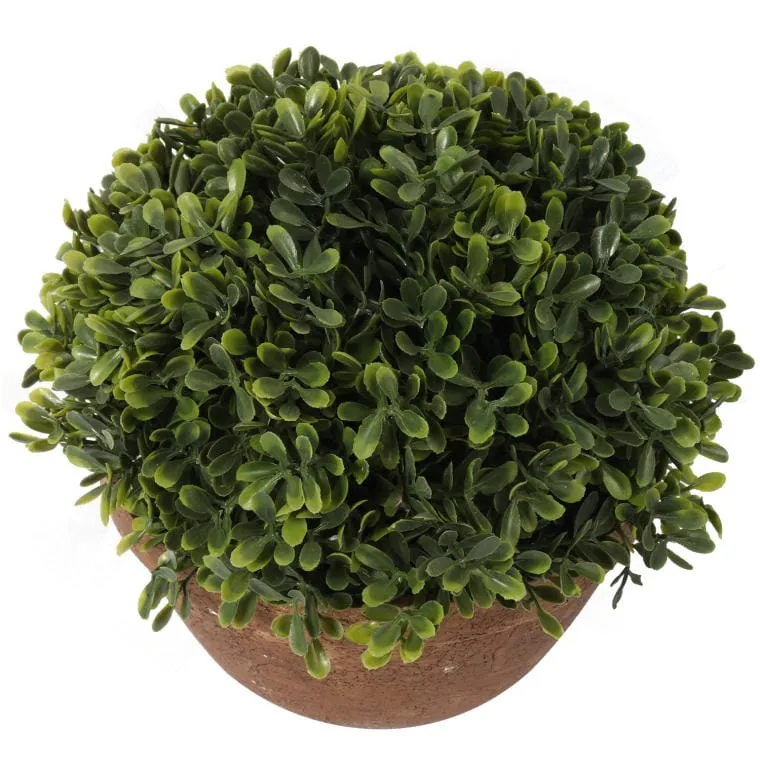 Sztuczna Roślina Bukszpan W Ceramicznej Doniczce 20 cm