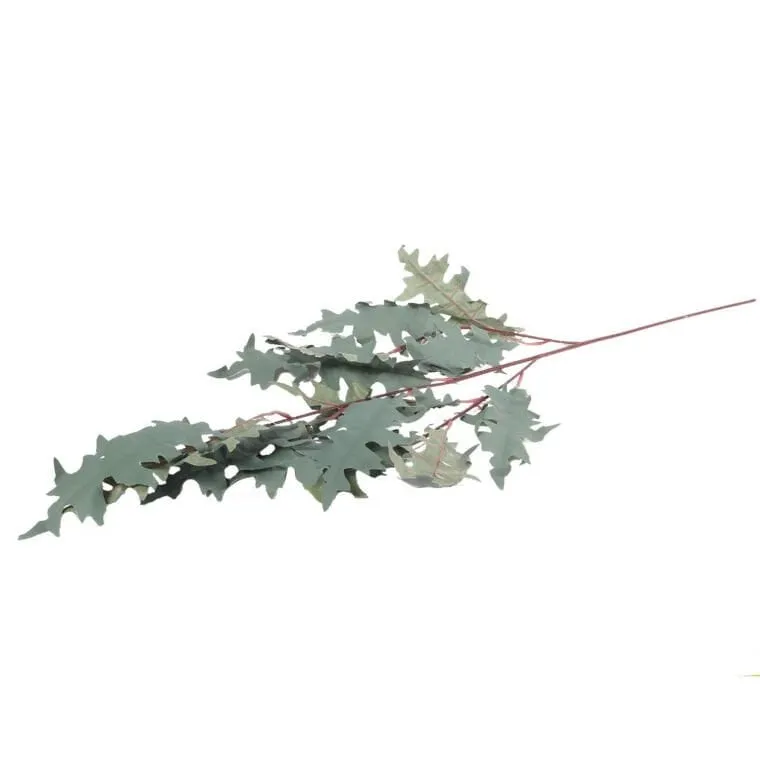 Gałązka Liści Dębu Błotnego 100 cm - Szara