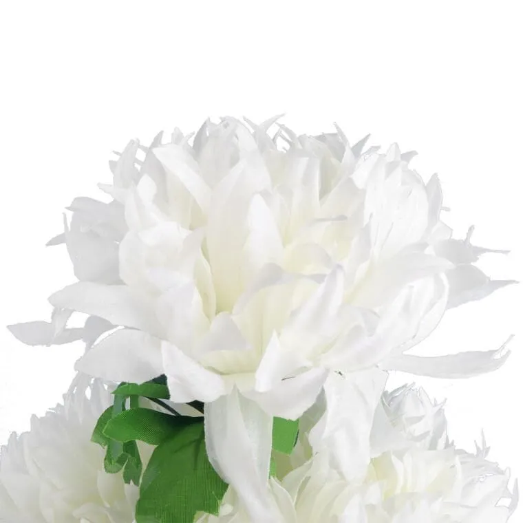 Bukiet 7 Dużych Chryzantem W Kolorze Białym 74 cm