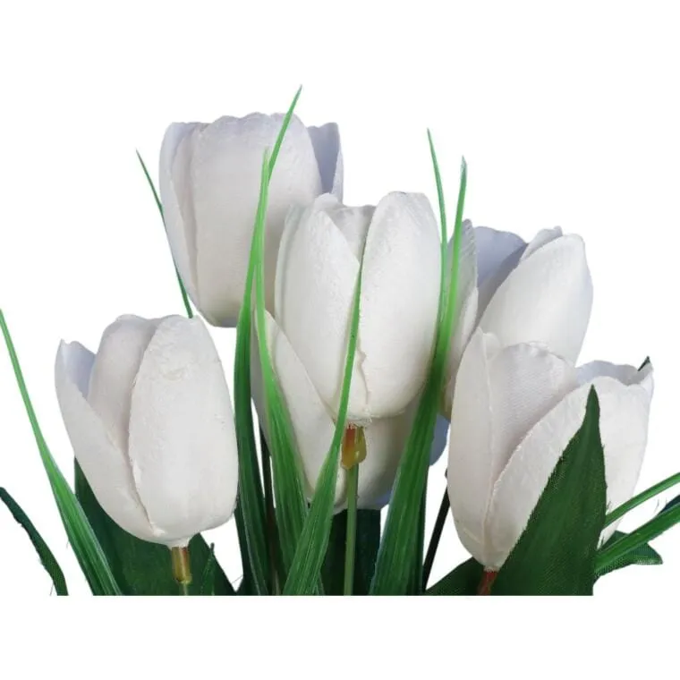 Bukiet 6 TULIPANÓW Z Trawką 34 cm - BIAŁY