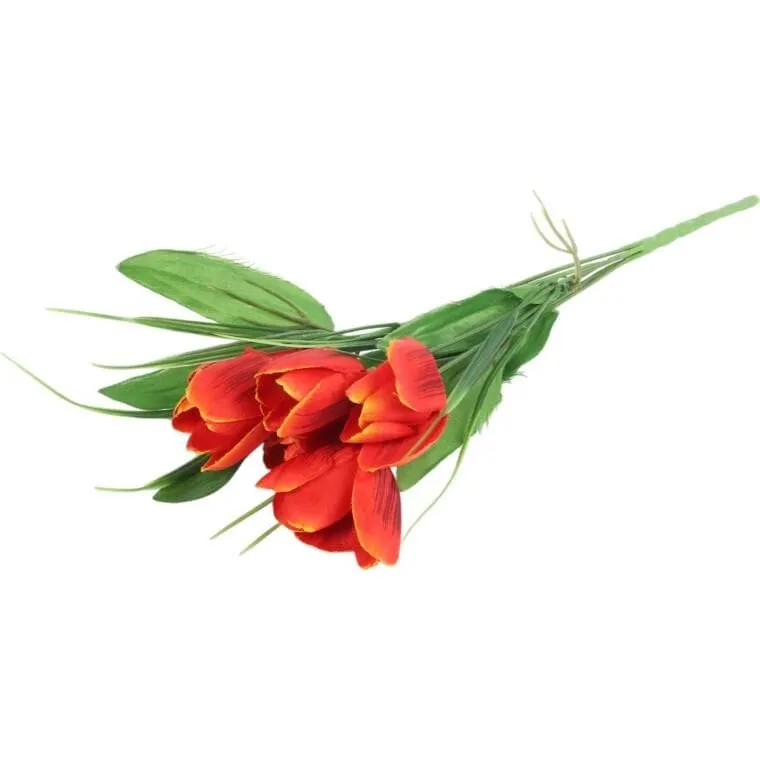 Bukiet 6 TULIPANÓW Z Trawką 34 cm - POMARAŃCZOWY