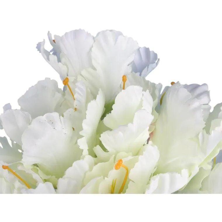 Bukiet 7 TULIPANÓW PAPUZICH 54 cm - BIAŁY