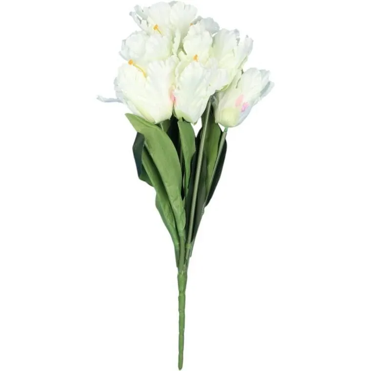 Bukiet 7 TULIPANÓW PAPUZICH 54 cm - BIAŁY