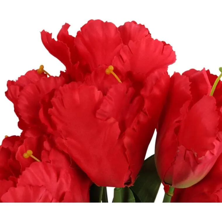 Bukiet 7 TULIPANÓW PAPUZICH 54 cm - CZERWONY