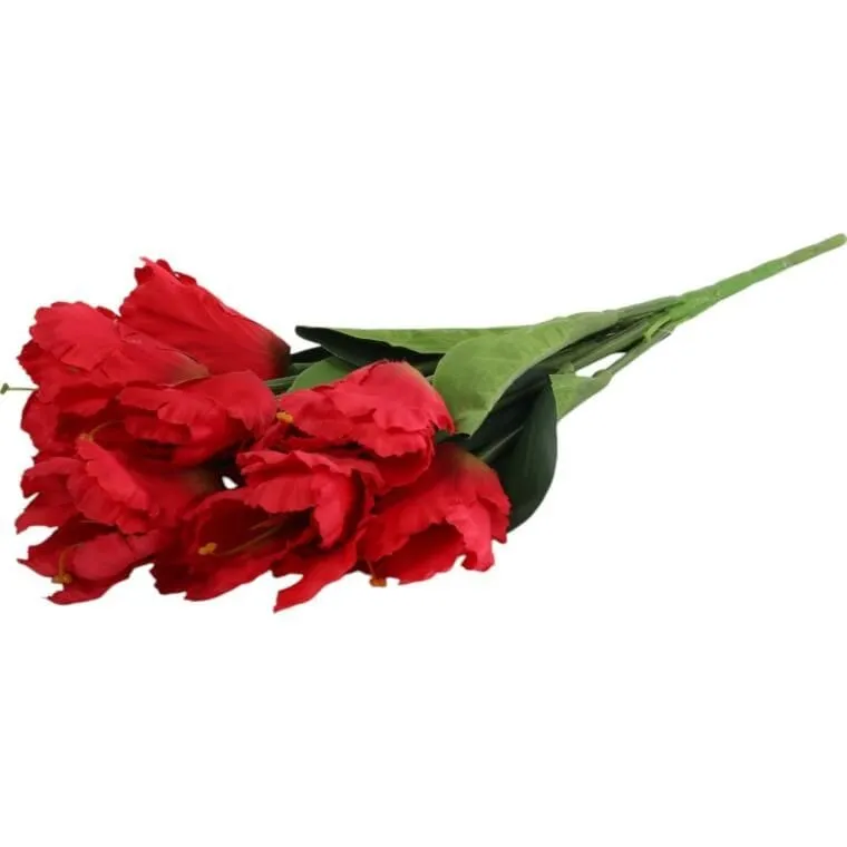 Bukiet 7 TULIPANÓW PAPUZICH 54 cm - CZERWONY