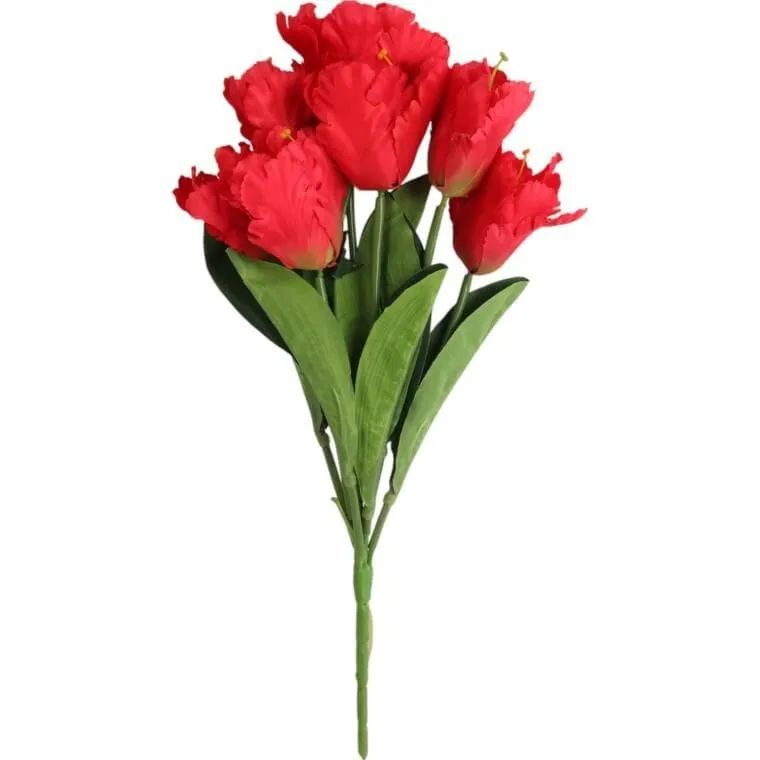 Bukiet 7 TULIPANÓW PAPUZICH 54 cm - CZERWONY