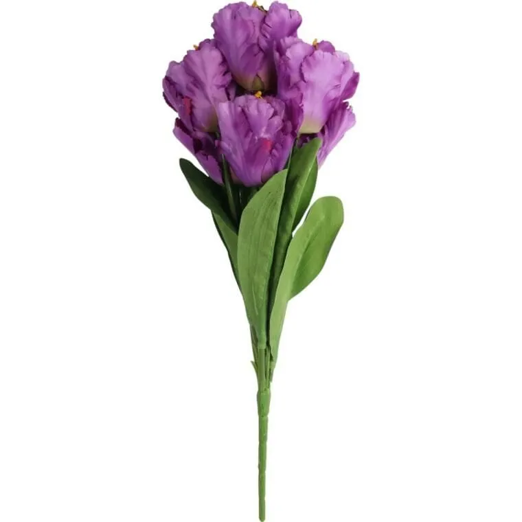Bukiet 7 TULIPANÓW PAPUZICH 54 cm - FIOLETOWY