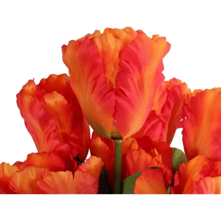 Bukiet 7 Tulipanów Papuzich 54 cm - Pomarańczowy
