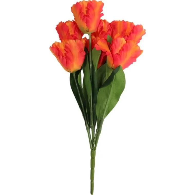 Bukiet 7 Tulipanów Papuzich 54 cm - Pomarańczowy