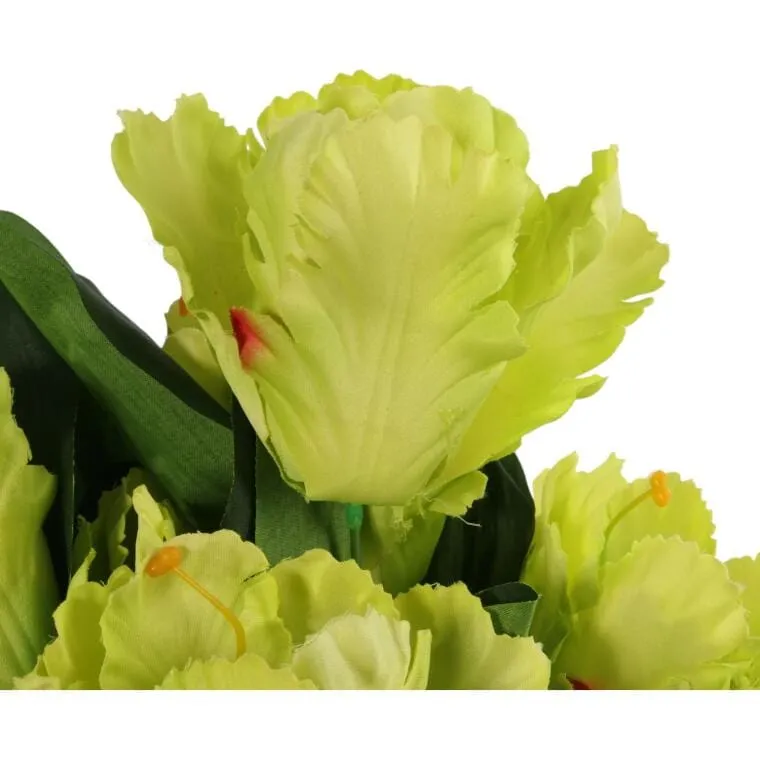 Bukiet 7 TULIPANÓW PAPUZICH 54 cm - ZIELONY
