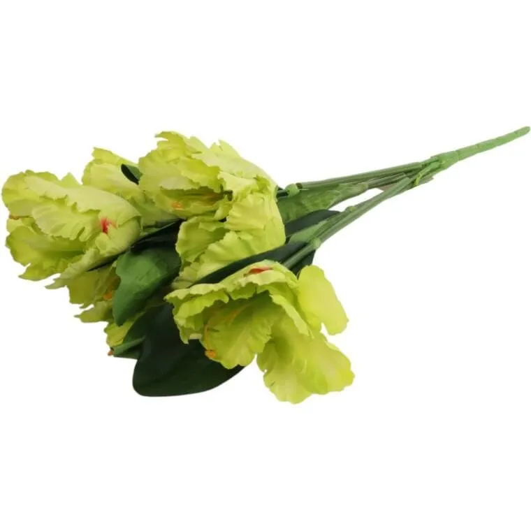 Bukiet 7 TULIPANÓW PAPUZICH 54 cm - ZIELONY