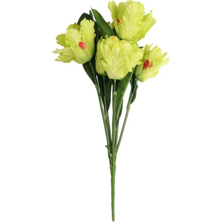 Bukiet 7 TULIPANÓW PAPUZICH 54 cm - ZIELONY
