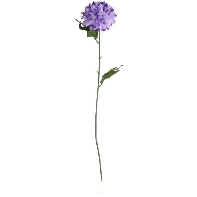Chryzantema Pojedynka W Kolorze Ciemno Fioletowym 67 cm