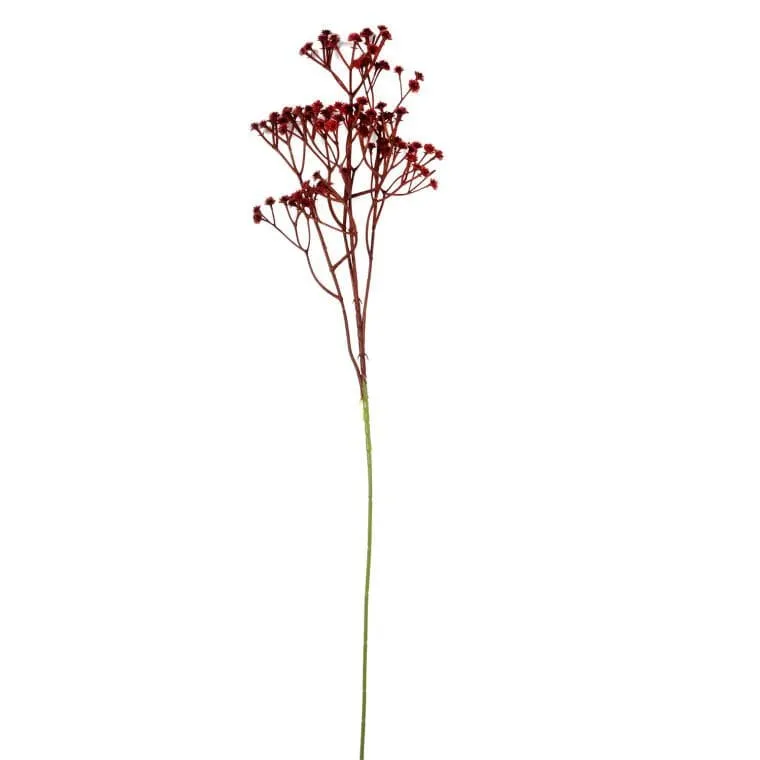 Gipsówka Gałązka Brazowa 64 cm