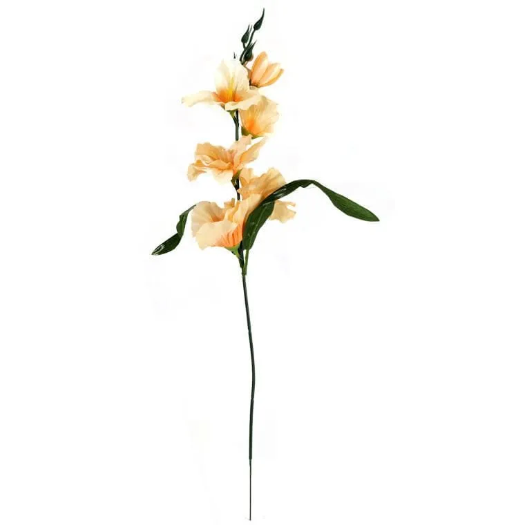 Gladiola Łososiowa 55 cm