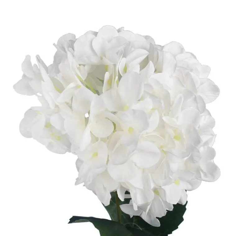 Gałązka HORTENSJI 72 cm - BIAŁA