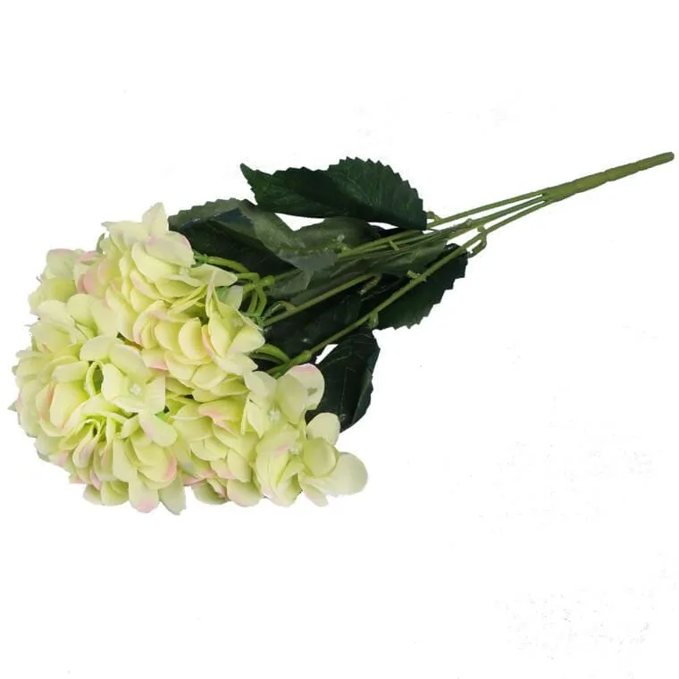 Bukiet 5 HORTENSJI W Kolorze ZIELONYM 52 cm