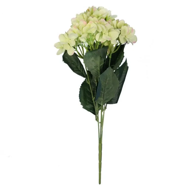 Bukiet 5 HORTENSJI W Kolorze ZIELONYM 52 cm