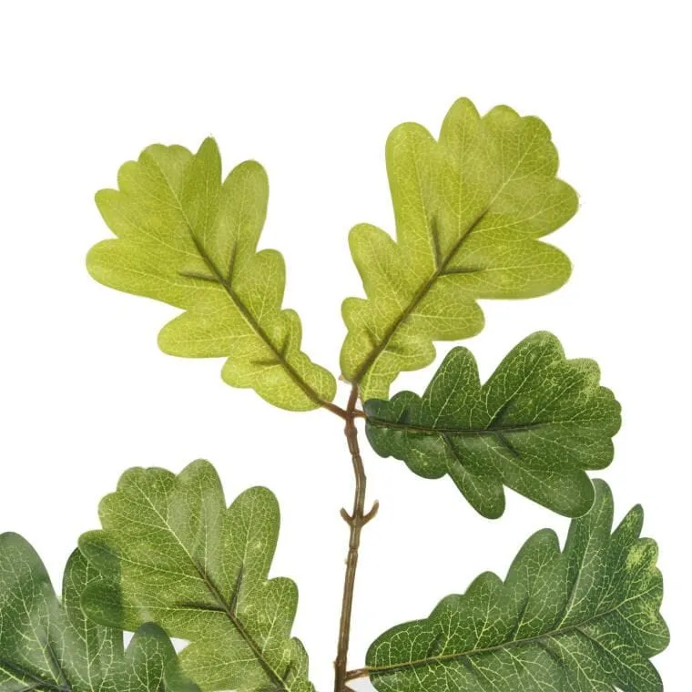 Gałązka Liści Dębu 60 cm
