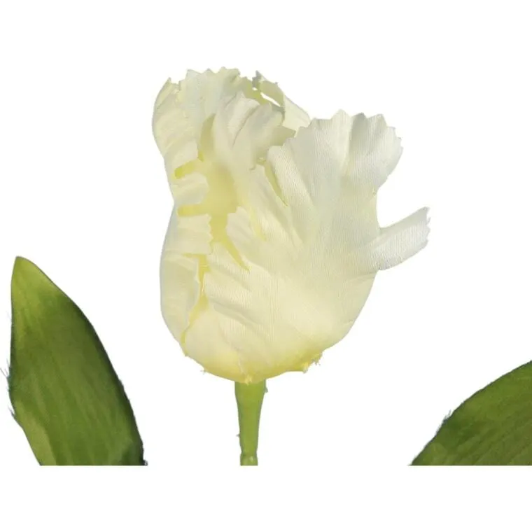 Tulipan Strzępiasty 54 cm - Biały
