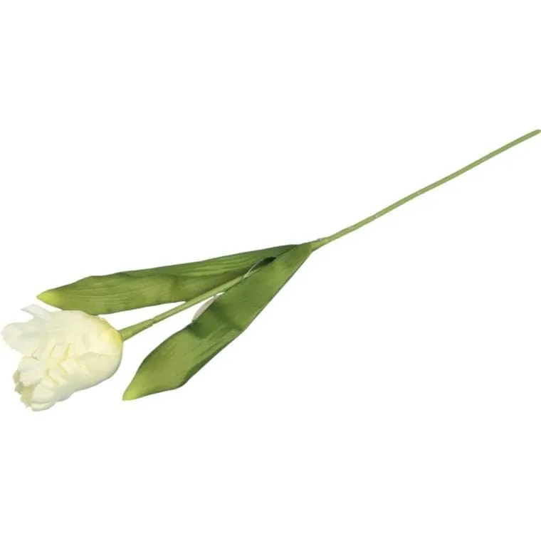 Tulipan Strzępiasty 54 cm - Biały