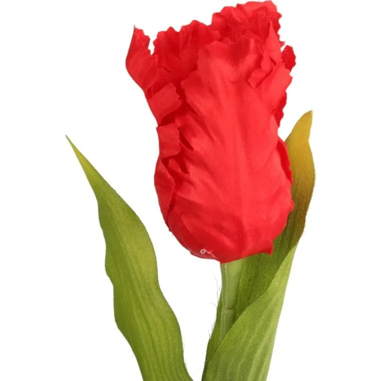 Tulipan Strzępiasty 54 cm - Czerwony