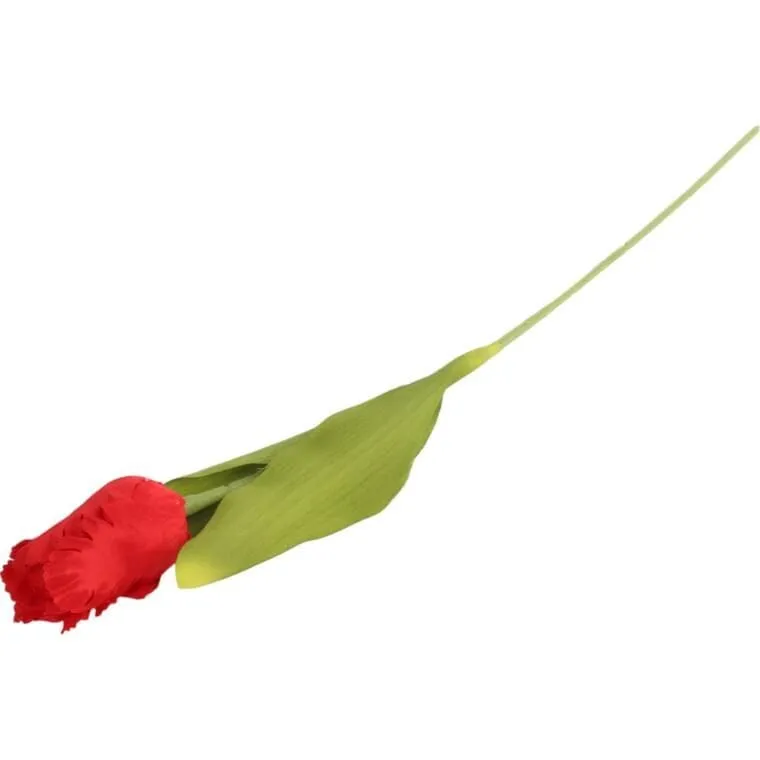 Tulipan Strzępiasty 54 cm - Czerwony