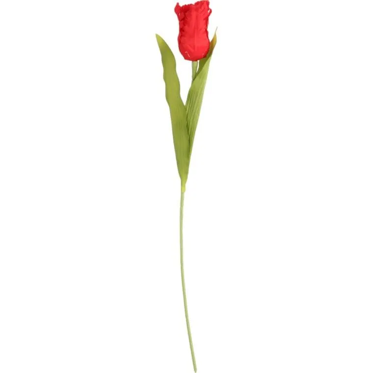 Tulipan Strzępiasty 54 cm - Czerwony