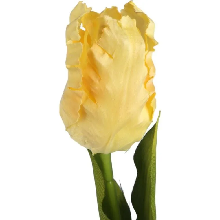 Tulipan Strzępiasty 54 cm - Kremowy
