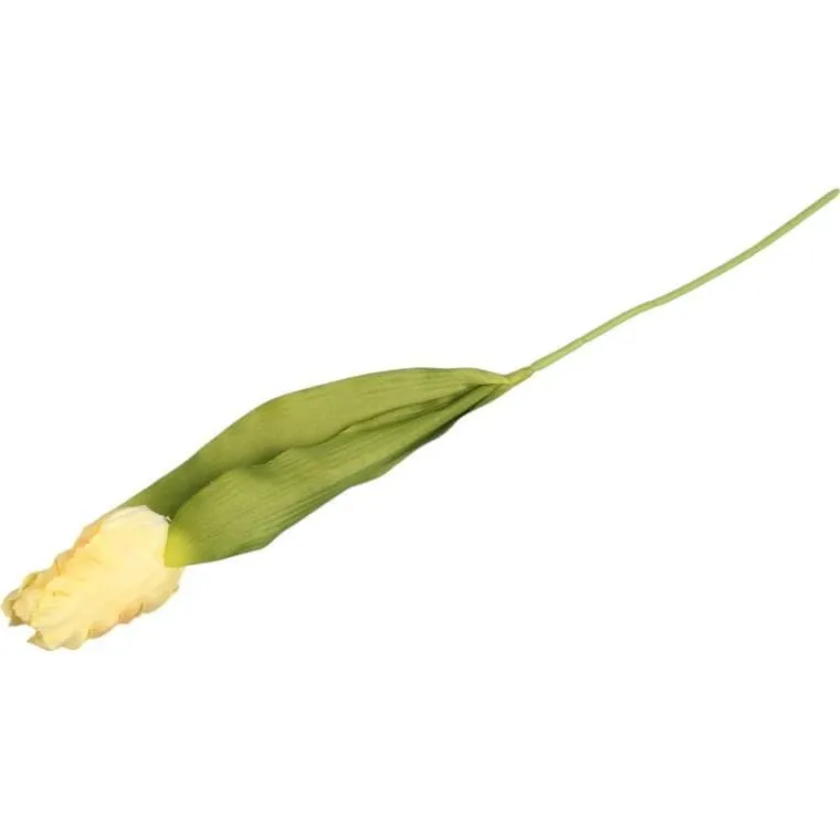 Tulipan Strzępiasty 54 cm - Kremowy