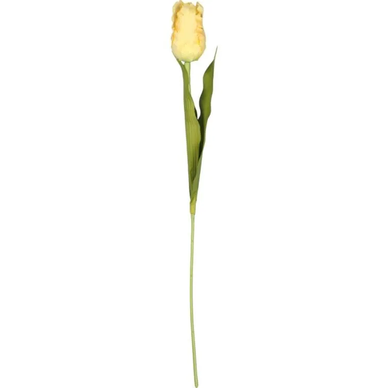 Tulipan Strzępiasty 54 cm - Kremowy
