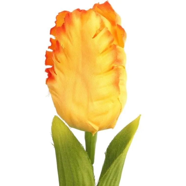 Tulipan Strzępiasty 54 cm - Pomarańczowy
