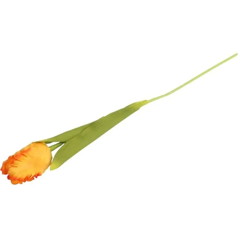 Tulipan Strzępiasty 54 cm - Pomarańczowy