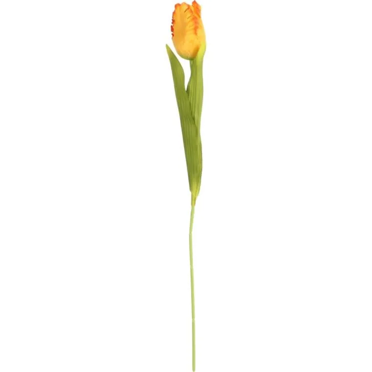 Tulipan Strzępiasty 54 cm - Pomarańczowy