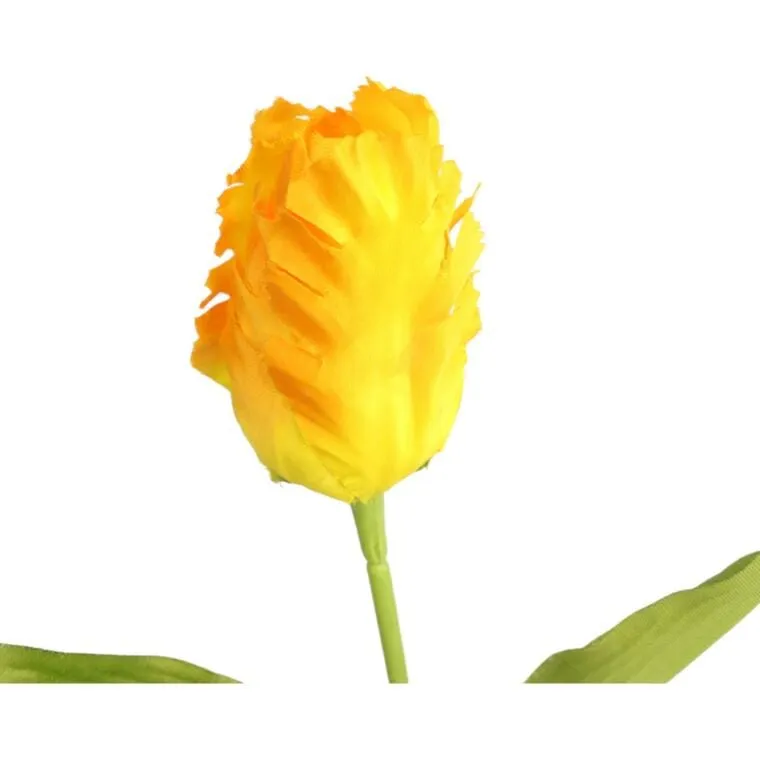 Tulipan Strzępiasty 54 cm - Żółty